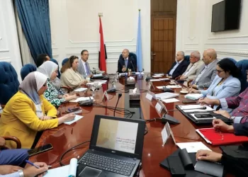 Cairo Governorate parades WUF12 preparations