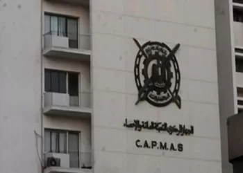 CAPMAS: Trade balance deficit up 18.3% in July 2024