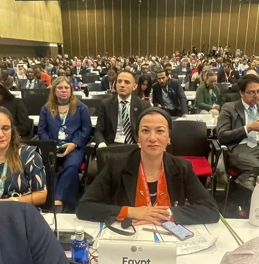Environment min. urges int'l community to achieve rubric COP16 "peace with nature" 1 - Egyptian Gazette