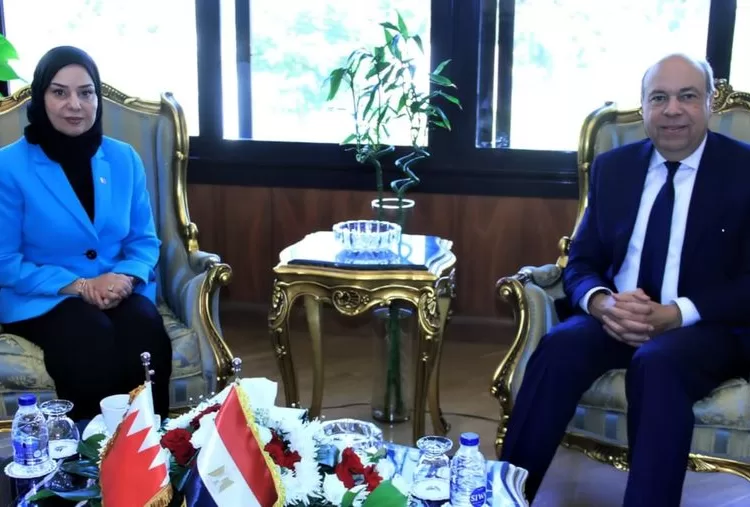 Aviation min., Bahrain amb. review bilateral co-operation 1 - Egyptian Gazette