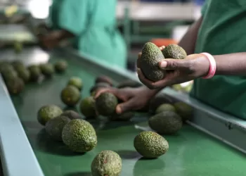 Number of food consignments exported reached 3,660: NFSA