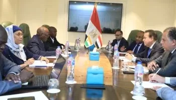 Egypt, Niger discuss boosting co-operation in healthcare