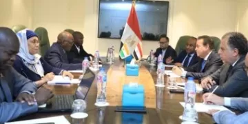 Egypt, Niger discuss boosting co-operation in healthcare