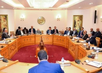 FM hosts 2nd ministerial meeting of SSCHR 3 - Egyptian Gazette