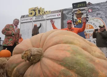 Pumpkin weighing 2,471 pounds wins California contest