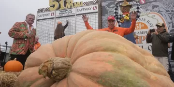 Pumpkin weighing 2,471 pounds wins California contest 1 - Egyptian Gazette Pumpkin weighing 2,471 pounds wins California contest
