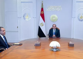 Sisi discusses with FM outcome of Egypt participation in UNGA meetings
