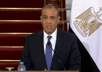 FMs of Egypt, Spain hold talks in Cairo Wednesday