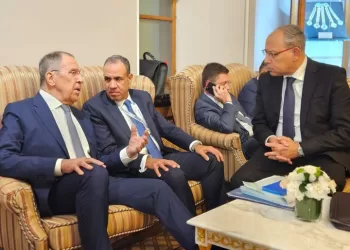 Egyptian, Russian FMs review developments in Gaza, Lebanon