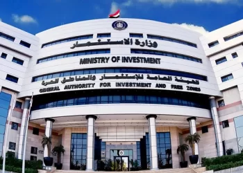 Egypt and South Africa enjoy strong, dynamic partnership