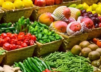 491 agricultural export permits – report