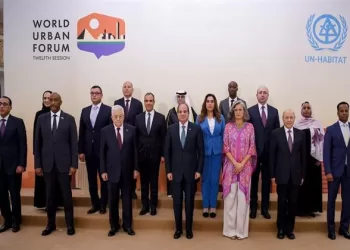 Sisi: Successive world crises demand will, efforts to establish peace, focus on development