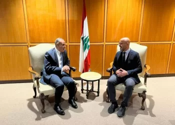 Lebanese min. thanks Sisi, Egyptian people for their support