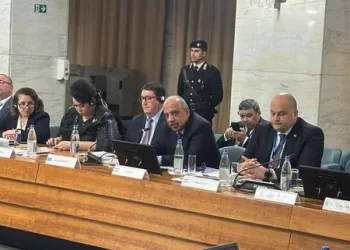 Electricity min.: Egypt will be one of leading countries in low-carbon hydrogen economy