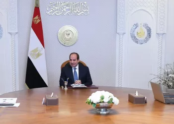 Sisi orders measures to encourage private sector investment in upgrading the aviation sector