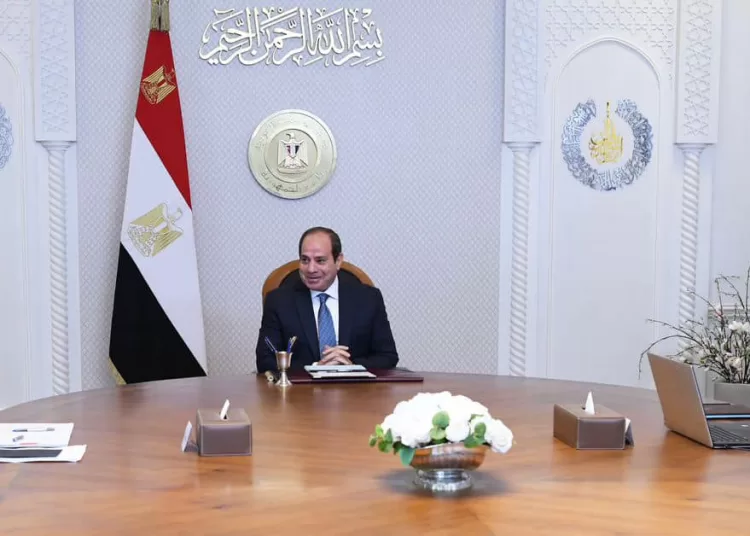 Sisi orders measures to encourage private sector investment in upgrading the aviation sector 1 - Egyptian Gazette