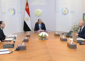 Sisi orders intensifying efforts in development projects