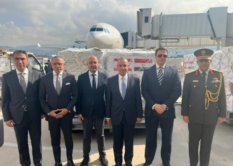 FM says in Beirut to deliver aid, message of support from Sisi 1 - Egyptian Gazette