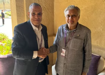 Egyptian, Pakistan FMs laud bilateral ties between both countries