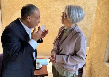 Egypt supports efforts for swift ceasefire in Sudan – FM