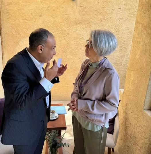 Egypt supports efforts for swift ceasefire in Sudan - FM 1 - Egyptian Gazette