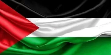 Egypt expresses solidarity with Palestine, calls for ceasefire in Gaza