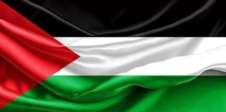 Egypt expresses solidarity with Palestine, calls for ceasefire in Gaza 2 - Egyptian Gazette Egypt expresses solidarity with Palestine, calls for ceasefire in Gaza 1 - Egyptian Gazette