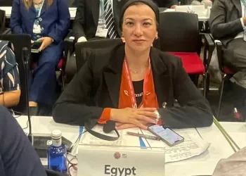 ‘Egypt among earliest countries to adopt NbS in 7 governorates’