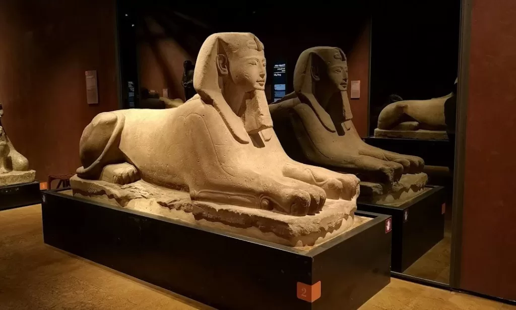 Rome marks 200th anniv. of Egyptian Museum in Turin 7 - Egyptian Gazette