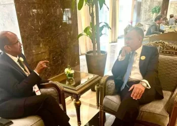 FM asserts Egypt’s utmost keenness on boosting bilateral ties with Djibouti on all fronts