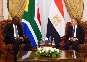 FM: Continuation of ties between Egypt, S. Africa reflects keenness on boosting brotherly bonds