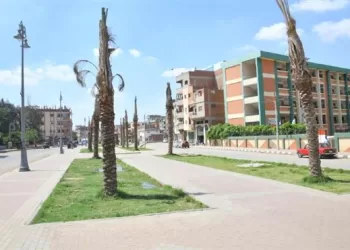 Nile Delta village becomes green, smart model