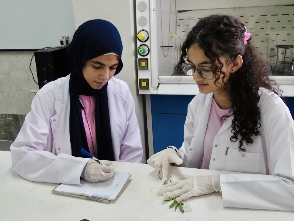 STEM School addressing water crisis with innovative hydrogel technology 13 - Egyptian Gazette