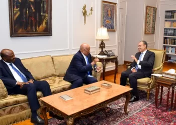FM praises historic relations between Egypt, Djibouti