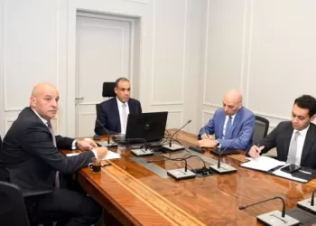 FM stresses Egypt’s firm commitment to promoting peace, security, development in Africa