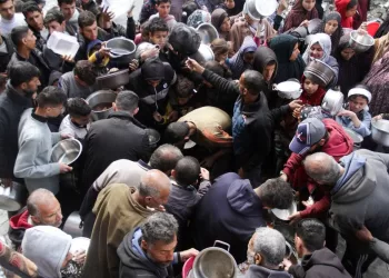 Palestinian body warns of collapse of humanitarian action mechanism