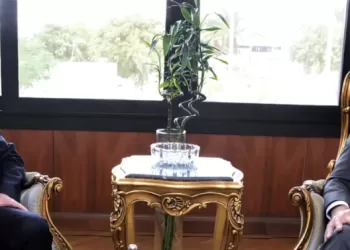 Egypt, France enhance co-operation in civil aviation