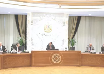 Madbouli reviews progress in Dabaa nuclear project