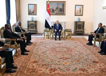 Sisi stressed importance of joint work to put Africa development priorities on global agenda