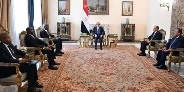 Sisi stressed importance of joint work to put Africa development priorities on global agenda