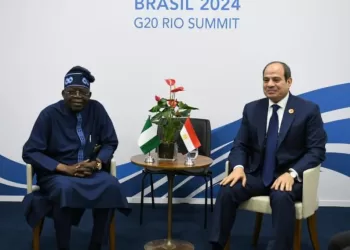 Sisi, Nigerian counterpart probe economic, counter-terrorism coop. on margins of G20