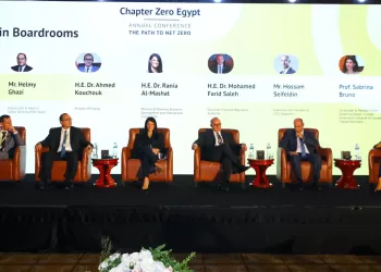 Mashat: COP27 heightens Egypt’s efforts to combat climate change