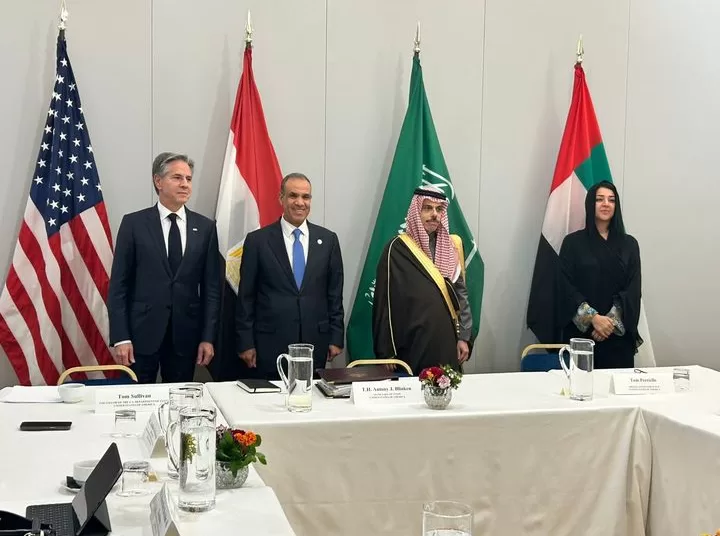 FM asserts Egypt's keenness to achieve stability in Sudan 1 - Egyptian Gazette