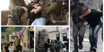 15 Palestinians detained by Israeli occupation forces in West Bank 1 - Egyptian Gazette 15 Palestinians detained by Israeli occupation forces in West Bank