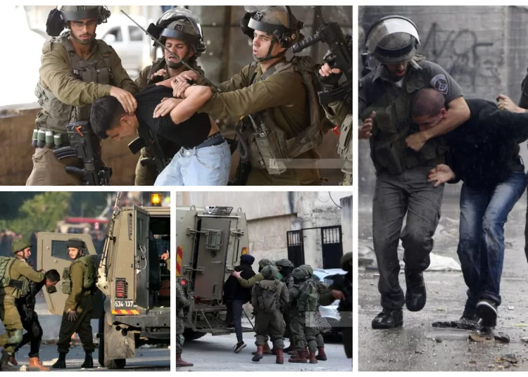 15 Palestinians detained by Israeli occupation forces in West Bank 1 - Egyptian Gazette