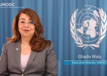 Solidarity for a green world requires countries to tackle organized crime, corruption