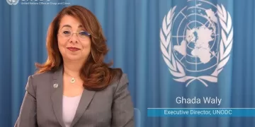 Solidarity for a green world requires countries to tackle organized crime, corruption