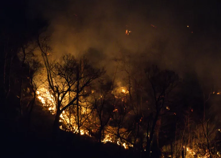 US Northeast faces renewed wildfire threat as some are asked to evacuate their homes 1 - Egyptian Gazette