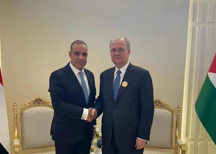 FM: Egypt to continue supporting Palestinian people 1 - Egyptian Gazette