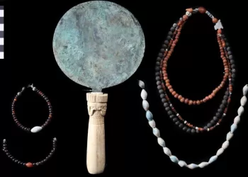 Newly found cemetery adds new aspects to Asasif’s history